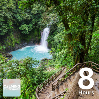 Relaxing Forest Waterfall Ambience (8 Hours) | Soothing Water Sounds with Birds Chirping