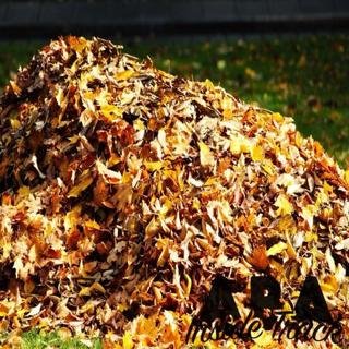 November 2024 Preview