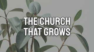 The Church that Grows