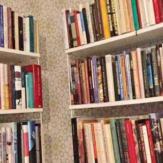 Fiktion i lögnens tid