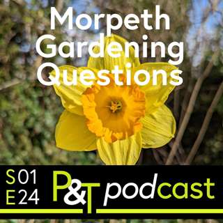 Northern Garden Questions, Rhubarb Cream & Tales from Wales