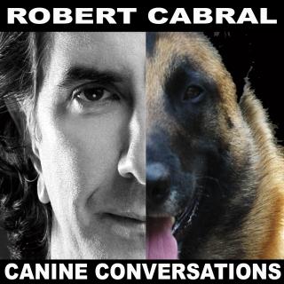 Episode 129 - Untold Stories of Spec Ops K9s The toughest dogs on earth!
