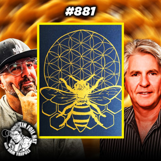 #881: The Sacred Geometry Of Bees With Brent Knudsen