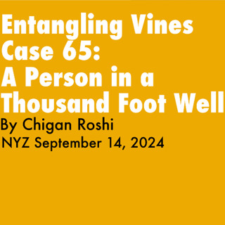 2024.03.09 - Entangling Vines Case 65 - A Person In A Thousand Foot Well - Teisho By Chigan Roshi