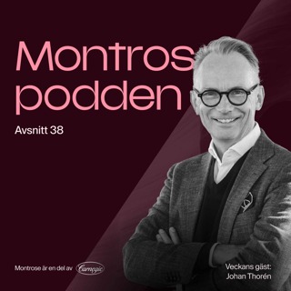 #38 - Sverige största småbolagsnörd Johan Thorén tror på revansch 2025