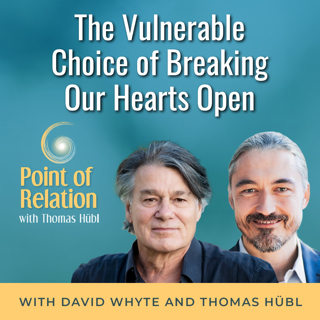 David Whyte | The Vulnerable Choice of Breaking our Hearts Open