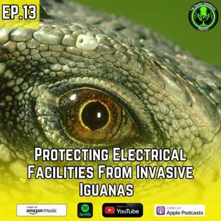 Guarding Power Sources: Effective Iguana Removal for Electrical Facilities