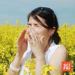 Climate Change Has Made Allergy Season Worse. How Do We Cope?