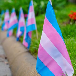 Gender in Sports with Joanna Harper and Heather Berlin, PhD (Re-release)