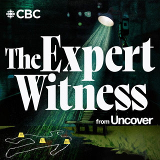 A Death in Cryptoland Introduces | The Expert Witness