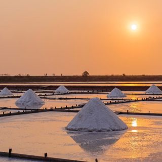 Extended Classic: The Salt of the Earth (Part 1)