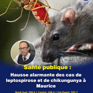 Santé publique : Hausse alarmante des cas de leptospirose et de chikungunya à Maurice
