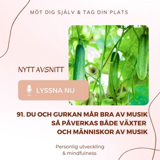 91. Du och gurkan mår bra av musik. Så påverkas växter och människor av musik