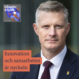 Robert Egnell. Sveriges roll i en ny världsordning
