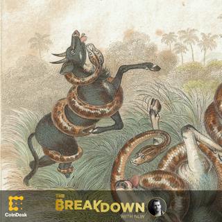 BREAKDOWN: Python Politics Part 2 – Operation Choke Point 2.0 Begins