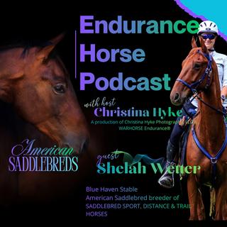 Shelah Wetter- 20,000 Miles on American Saddlebreds