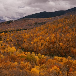 20210122 - Open Space