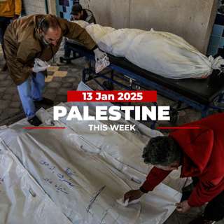Who's counting Gaza's dead? Palestine This Week with Mouin Rabbani