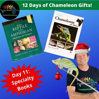 Chameleon Gifts Day 12: Chameleon Books!