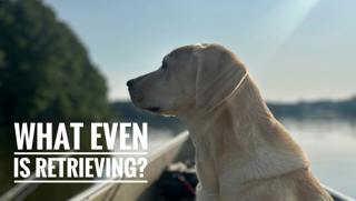 What Even is Retrieving?