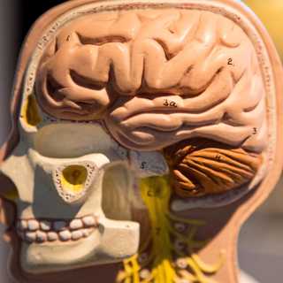 Uppstressad stress-serie och tysk Facebookfajt mot fejk