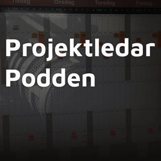 AI19: AI-revolutionen för projektledare: Mythos, Fable 5 och praktiska verktyg med Daniel Karlsson