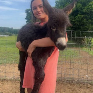 Georgia Cop Kills HeeHaw, a Family’s Beloved Pet Donkey
