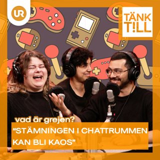 Vad är grejen med gamers?