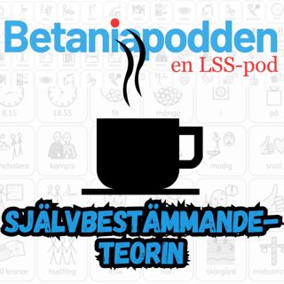 Självbestämmandeteorin