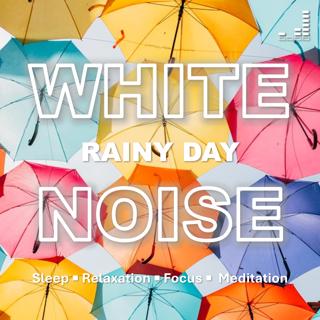 Rainy Day | White Noise: 1 Hour Drizzle for Sleep, Relaxation, Focus, Meditation