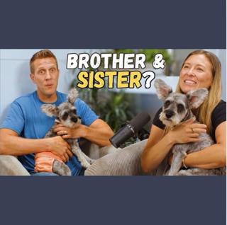 Someone Dumped Them After Selling Their Puppies..DNA Might Expose Who Did It