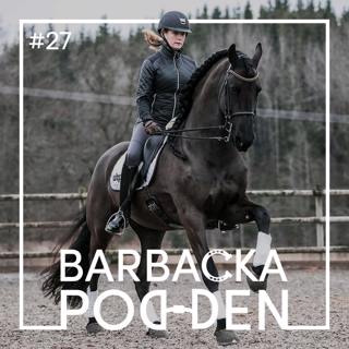 Fantastiska Friesern