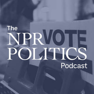 A Look At This Week's Special House Elections In Florida