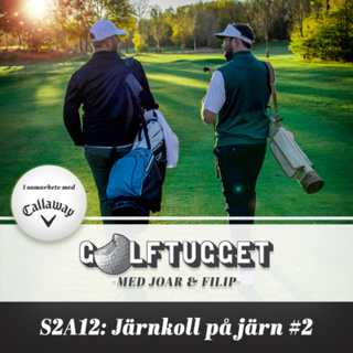 S2A12 Järnkoll på järn #2