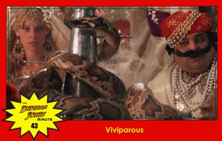 Temple of Doom Minute 43: Viviparous, with Jamie Anderson