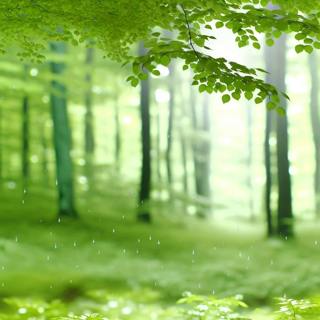 😴🌧️🎵 Light MUSIC and Forest RAIN Reduce STRESS and Promote SLEEP