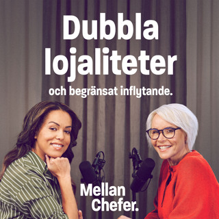 5. Dubbla lojaliteter och begränsat inflytande