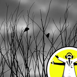 Supernatural Science