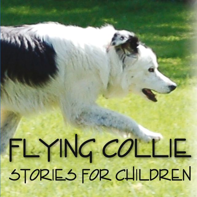 Flying Collie