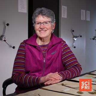 Inside Iowa State’s Herbarium | Science-Inspired Art From ‘Universe of Art’ Listeners