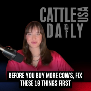 360: Before You Buy More Cows, Fix These 10 Things First
