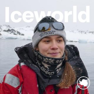 It's Christmas in Antarctica, with Aurelia Reichardt, Matt Hughes & Jo Cole