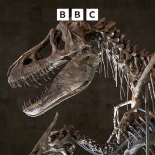 Dinosaur discoveries and a Berlin Wall treehouse