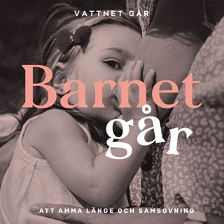 225. Barnet Går - Ida Therén, "Jag tror inte på att hålla ihop för barnens skull"