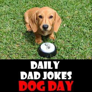 National Dog Day! 62 "ruff" dad jokes! 26 August 2025