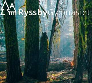 Elever på RyssbyGymnasiet