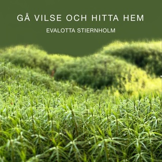 rss-ga-vilse-och-hitta-hem
