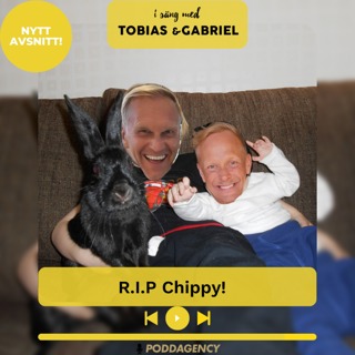 325. R.I.P Chippy!