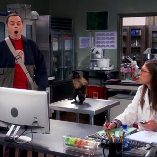 Tuning in to Science on TV, with Mayim Bialik