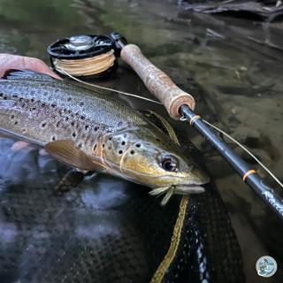 S8, Ep 42: Exploring Terrestrials and Summer Patterns: George Costa's Fishing Forecast